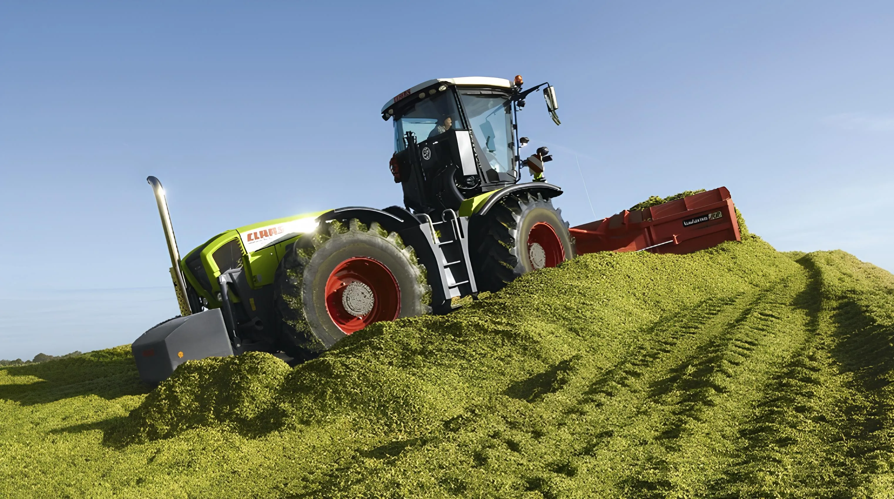 КАК СРОКИ УБОРКИ ГИБРИДОВ КУКУРУЗЫ ВЛИЯЮТ НА КАЧЕСТВО СИЛОСА?