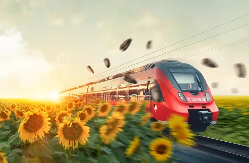 ЛГ 50479 СХ